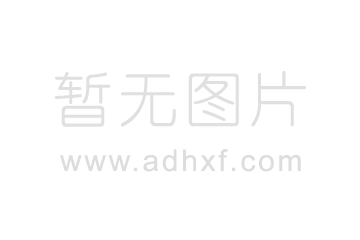 DTSL手持?jǐn)?shù)字張力計_DTXL持式數(shù)字張力計帶數(shù)據(jù)記錄功能